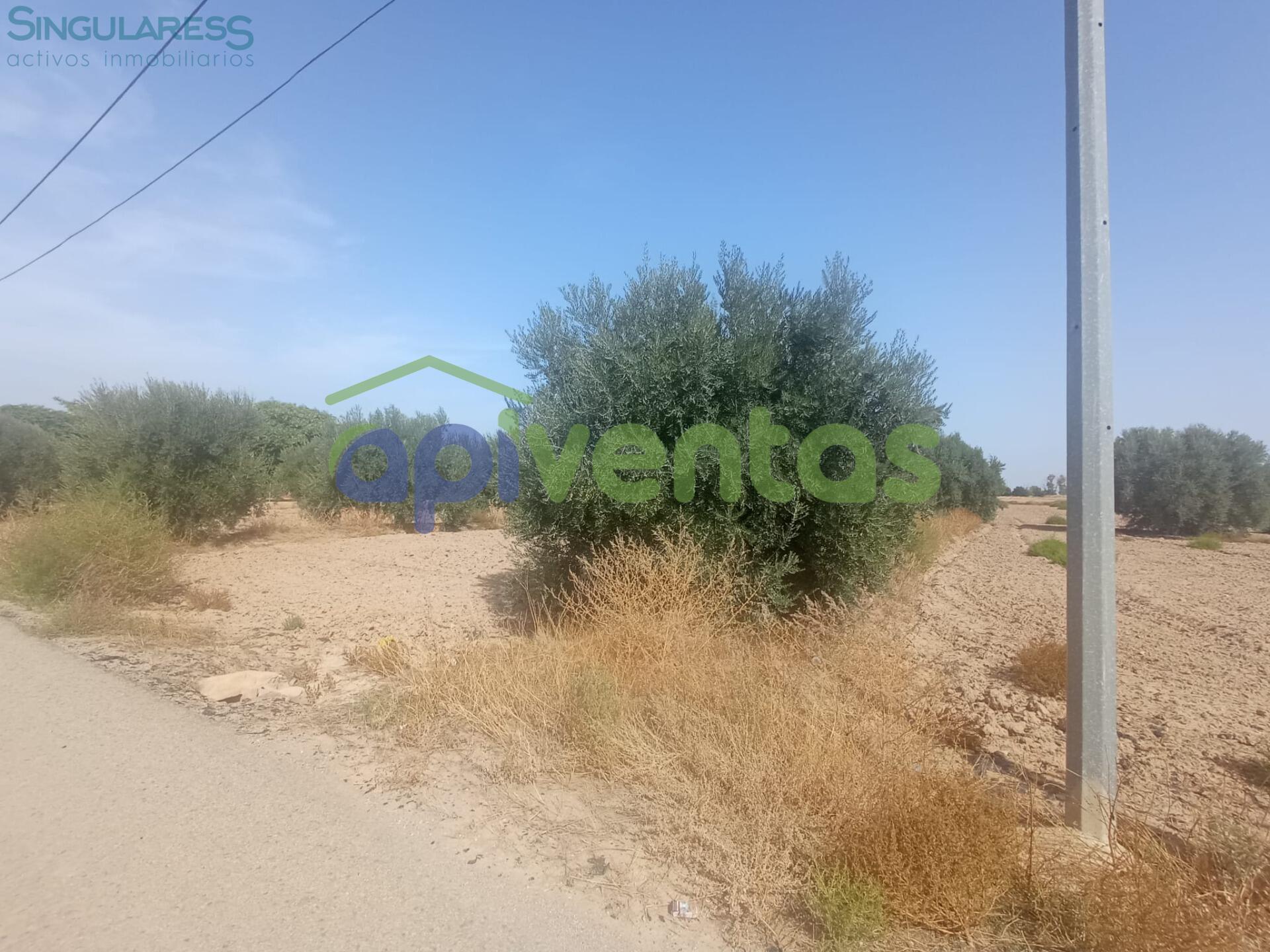 Comprar terreno en Calle AGUADERAS en Lorca