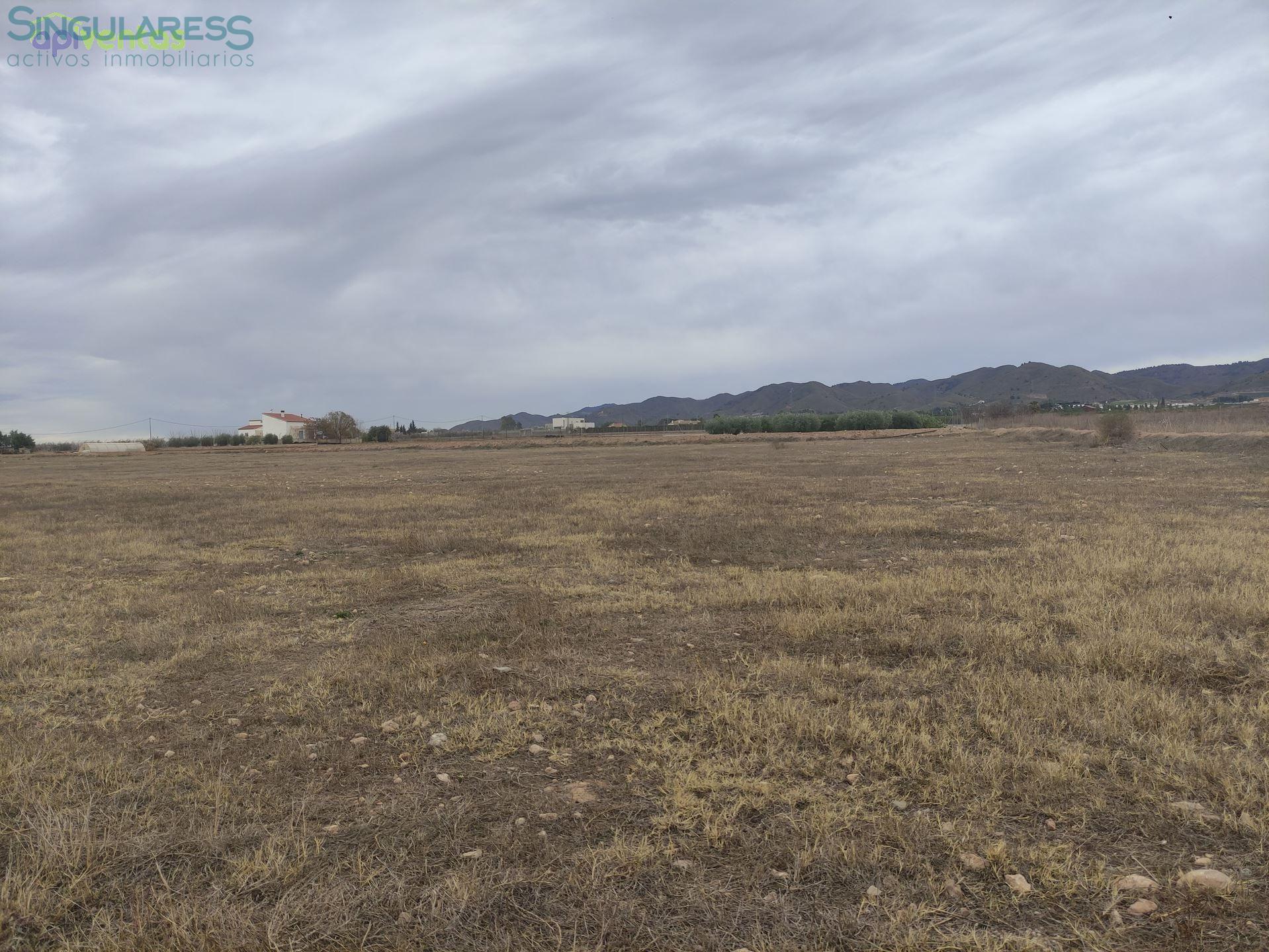 Comprar terreno en Calle La Torre nº sn en Lorca