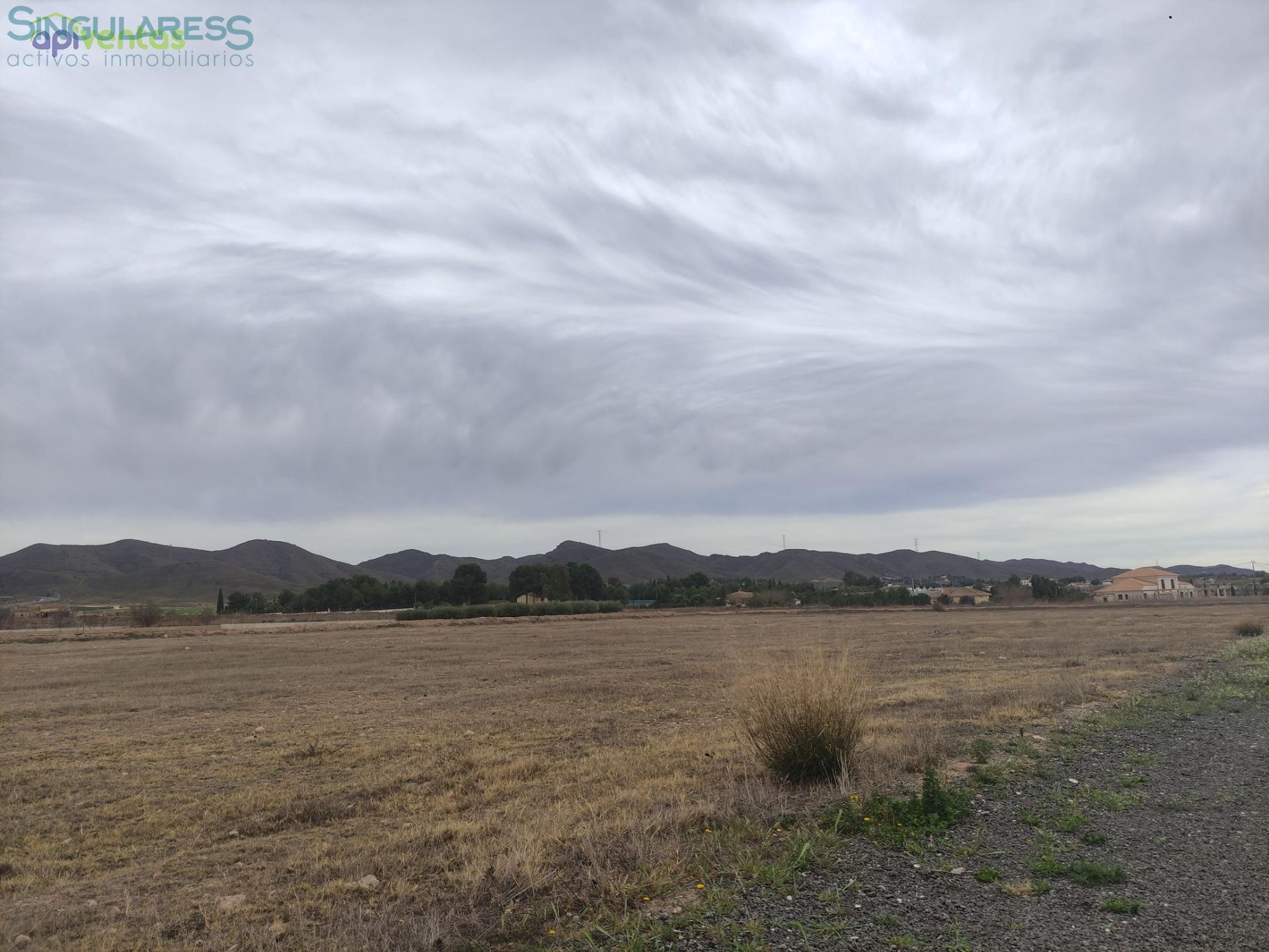 Comprar terreno en Calle La Torre nº sn en Lorca