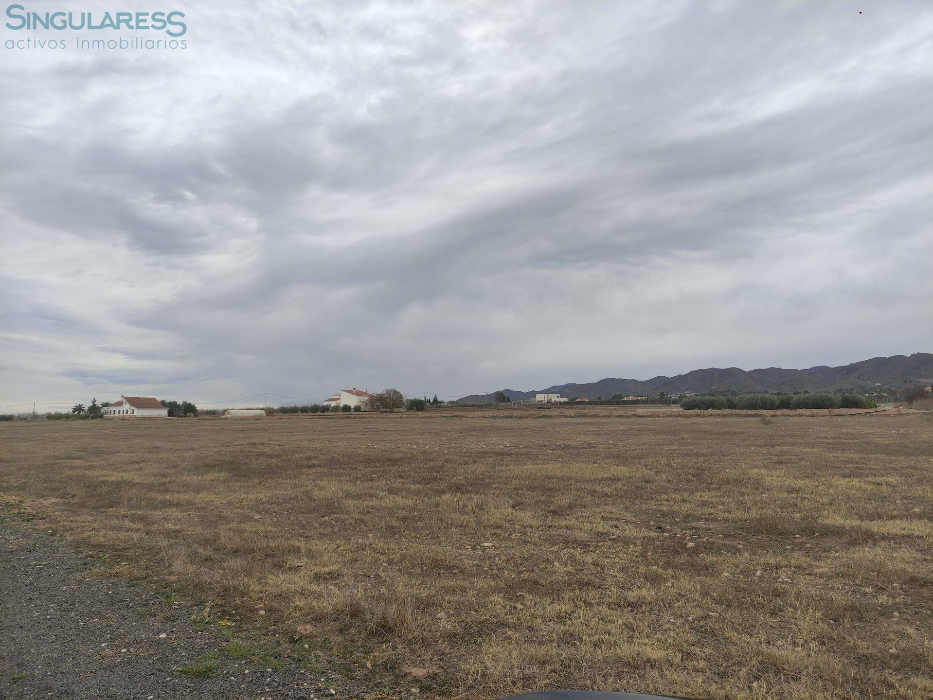 Comprar terreno en Calle La Torre nº sn en Lorca