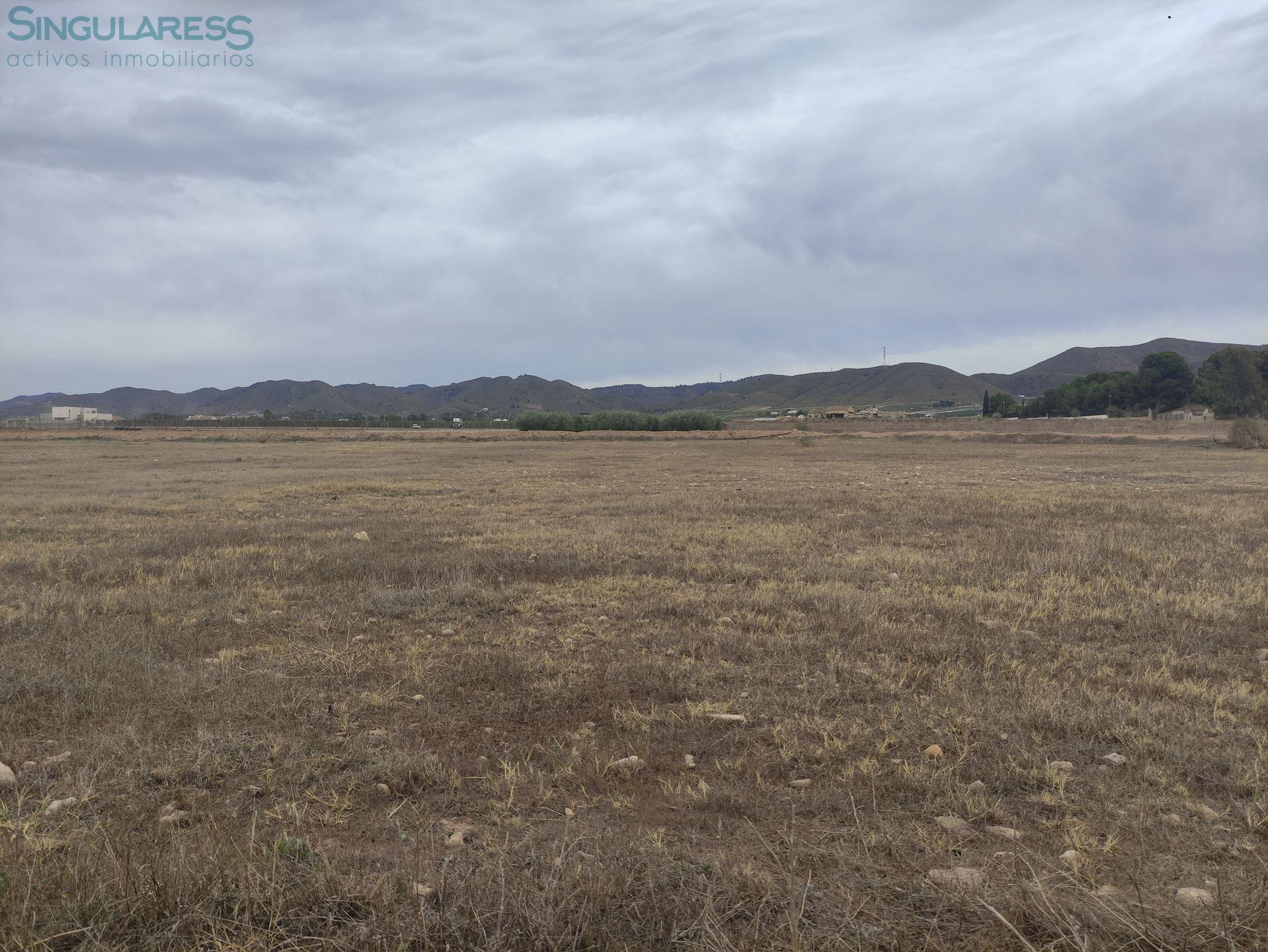 Comprar terreno en Calle de Aguilas nº sn en Lorca