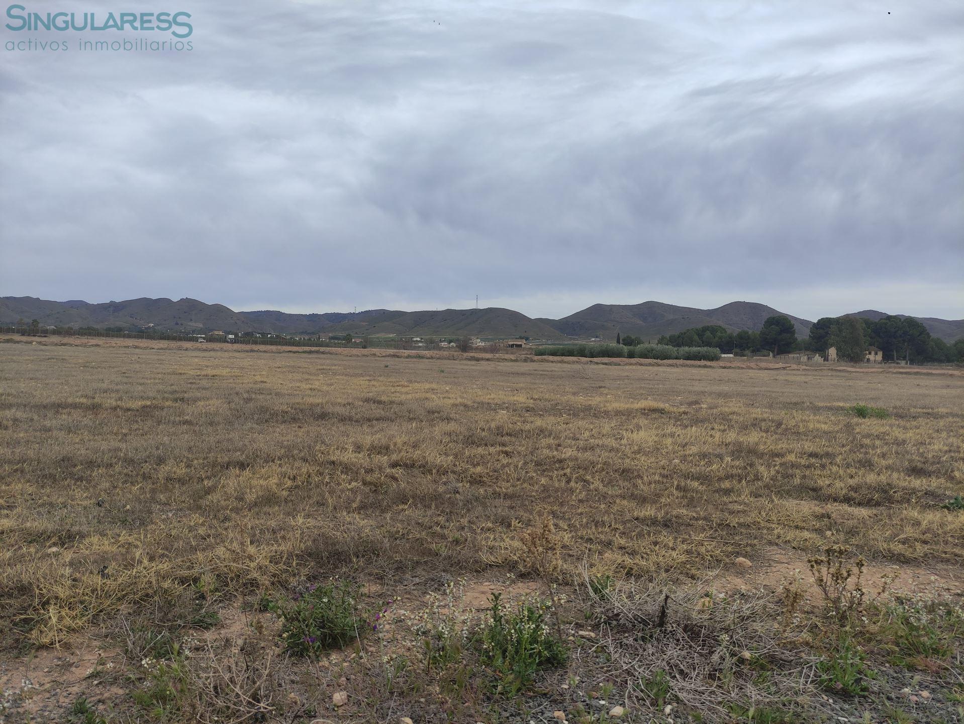 Comprar terreno en Calle de Aguilas nº sn en Lorca