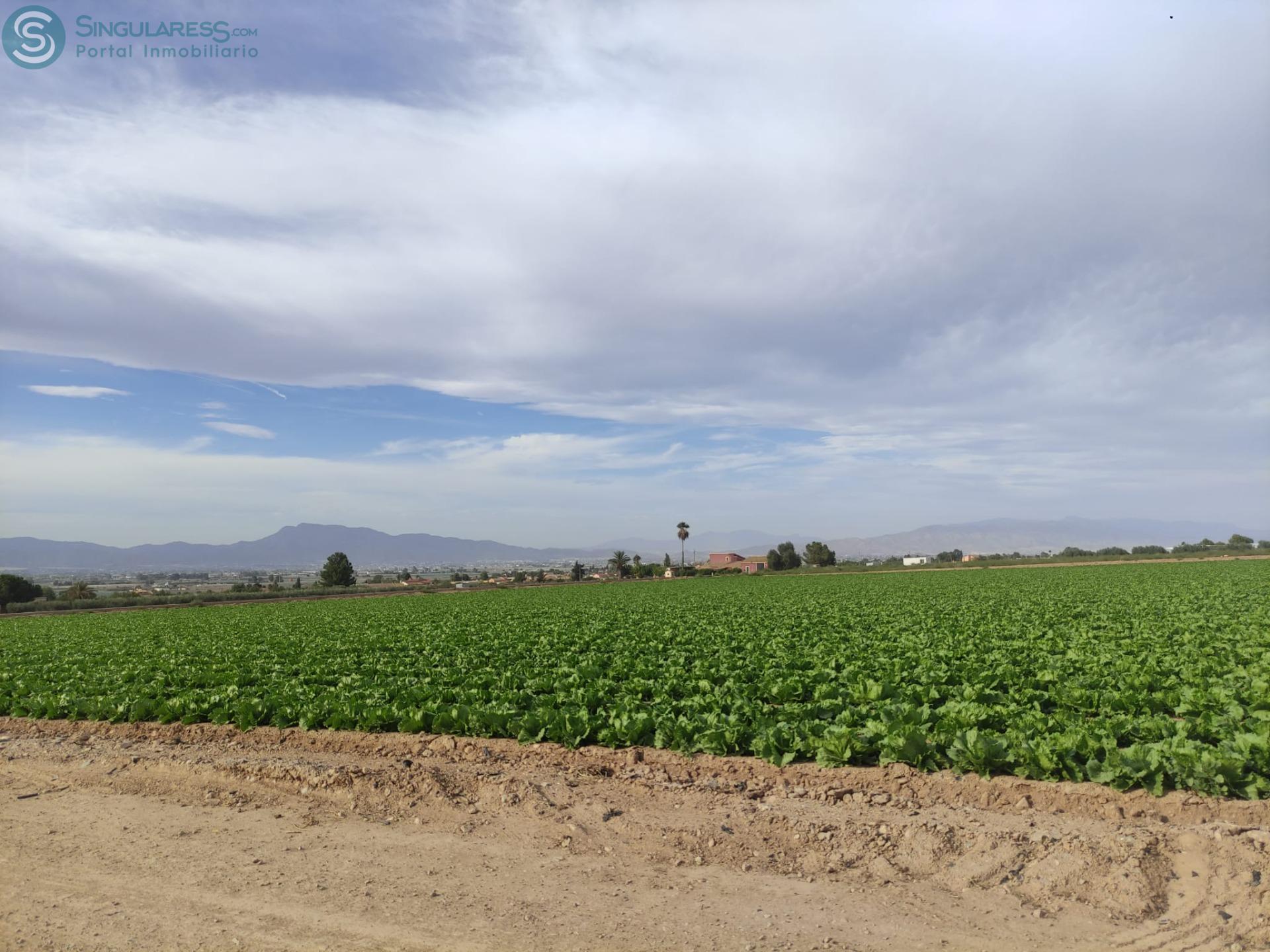 Comprar terreno de 5597m² en Lorca