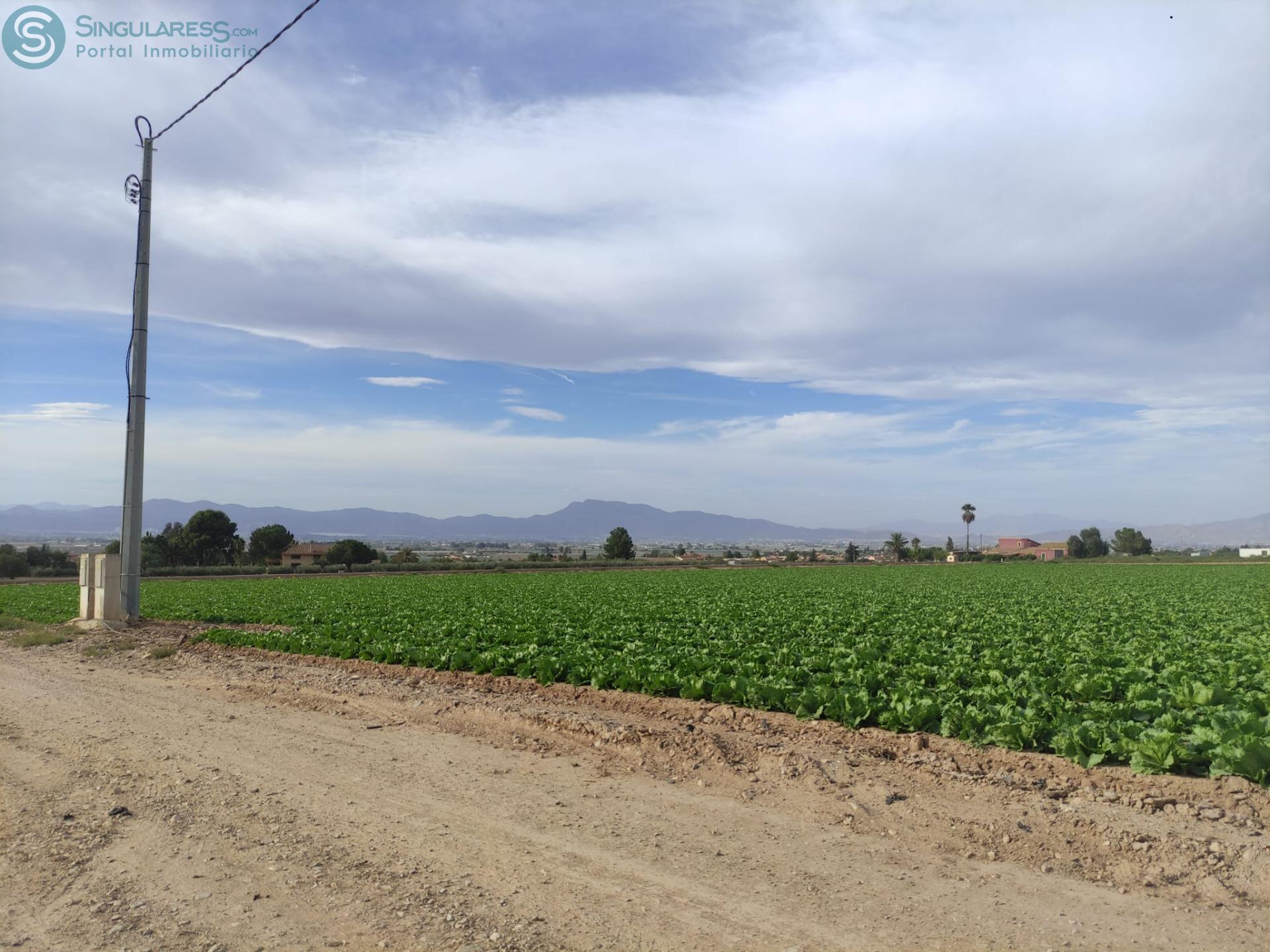 Comprar terreno de 5597m² en Lorca