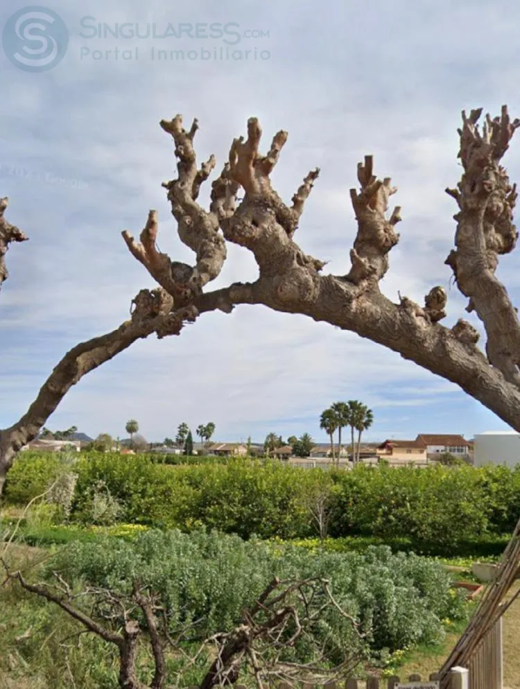 Comprar terreno en Camino de los Chapinillas en Murcia