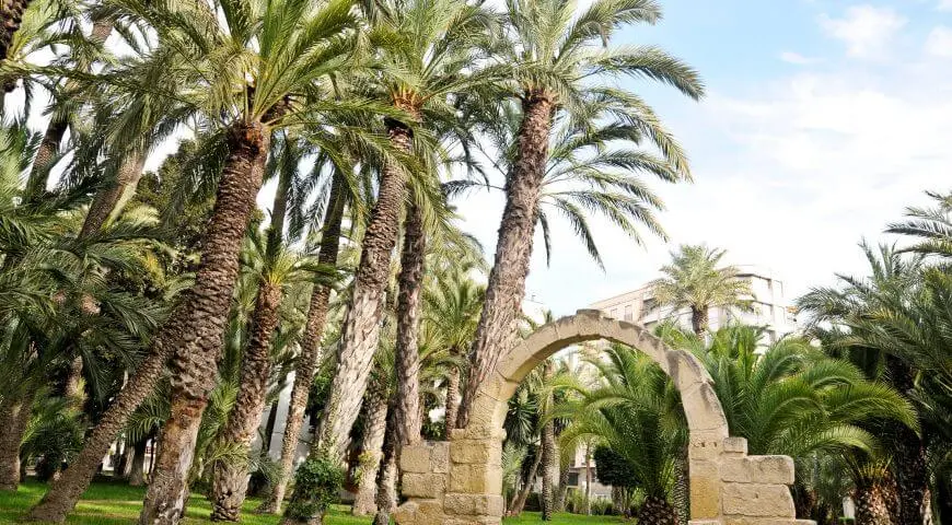 Los mejores barrios de Elche para vivir